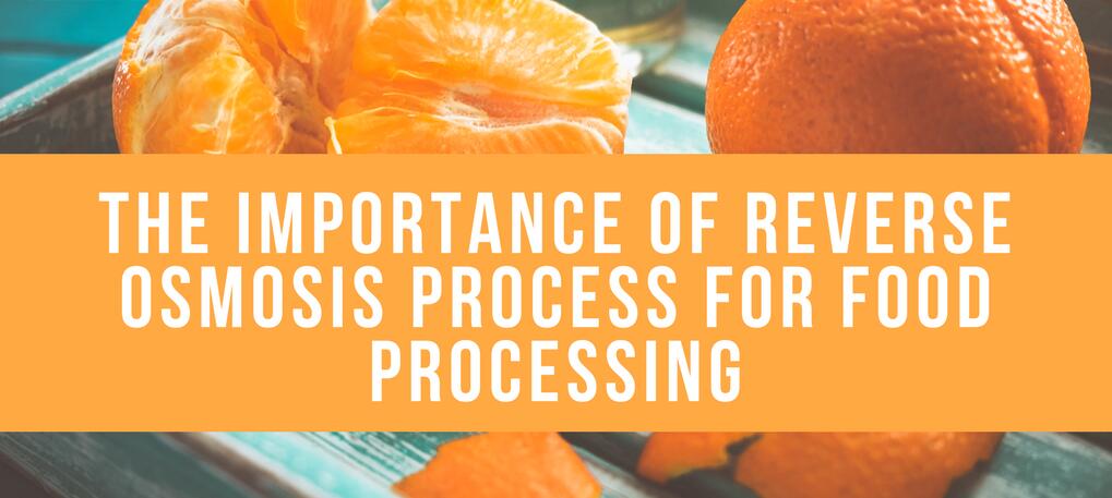 Applications of Reverse Osmosis in the Food Industry